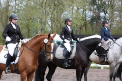 reittunier_201622_20160505_1781685034