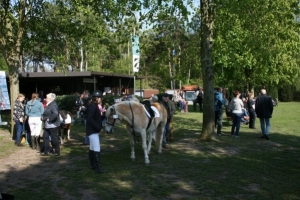 Reitturnier 2017