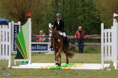 reittunier_201728_20170516_1448288345